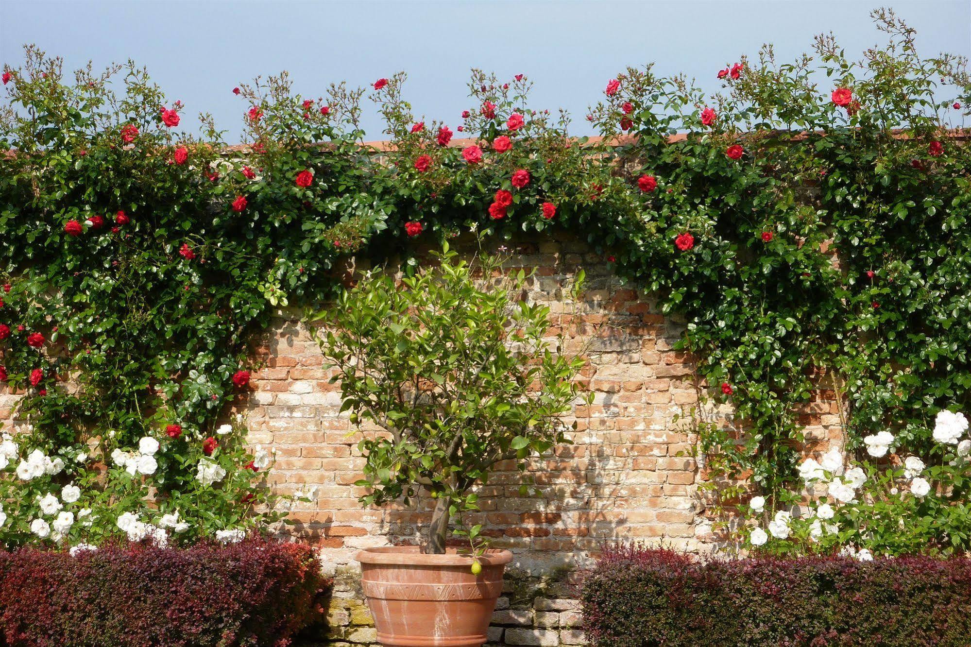 Villa Alberti Dolo Kültér fotó